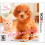 Nintendo Nintendogs + Cats: Toy Poodle e novos amigos (renovado) 1