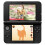 Nintendo Nintendogs + Cats: Toy Poodle e novos amigos 3