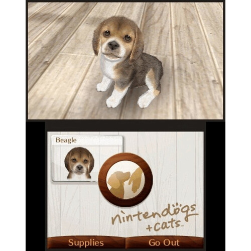 Nintendo Nintendogs + Cats: Golden Retriever e novos amigos 2