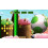 Nintendo La nueva isla de Yoshi - Nintendo 3DS (restaurado certificado) 4
