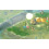 Nintendo Pokemon Rumble World - Nintendo 3DS Edition standard 2