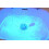 Crime Scene Blood Detection ForensiKit Explore Crime Scene Processing Techniques 4