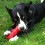 KONG KONG Beezles Ball Dog Toy  Medium  Assorted 2