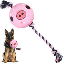QDAN Brinquedo para ces com corda para ces: bola de futebol para ces com bolas de ala em corda brinquedos de pelcia para aniversrios ao ar