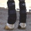 Professional's Choice Ice Boot Standard (3-stretti) 3
