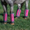 Professional's Choice Deluxe Fluestvler | ndbart mesh | 4 Pakke 3