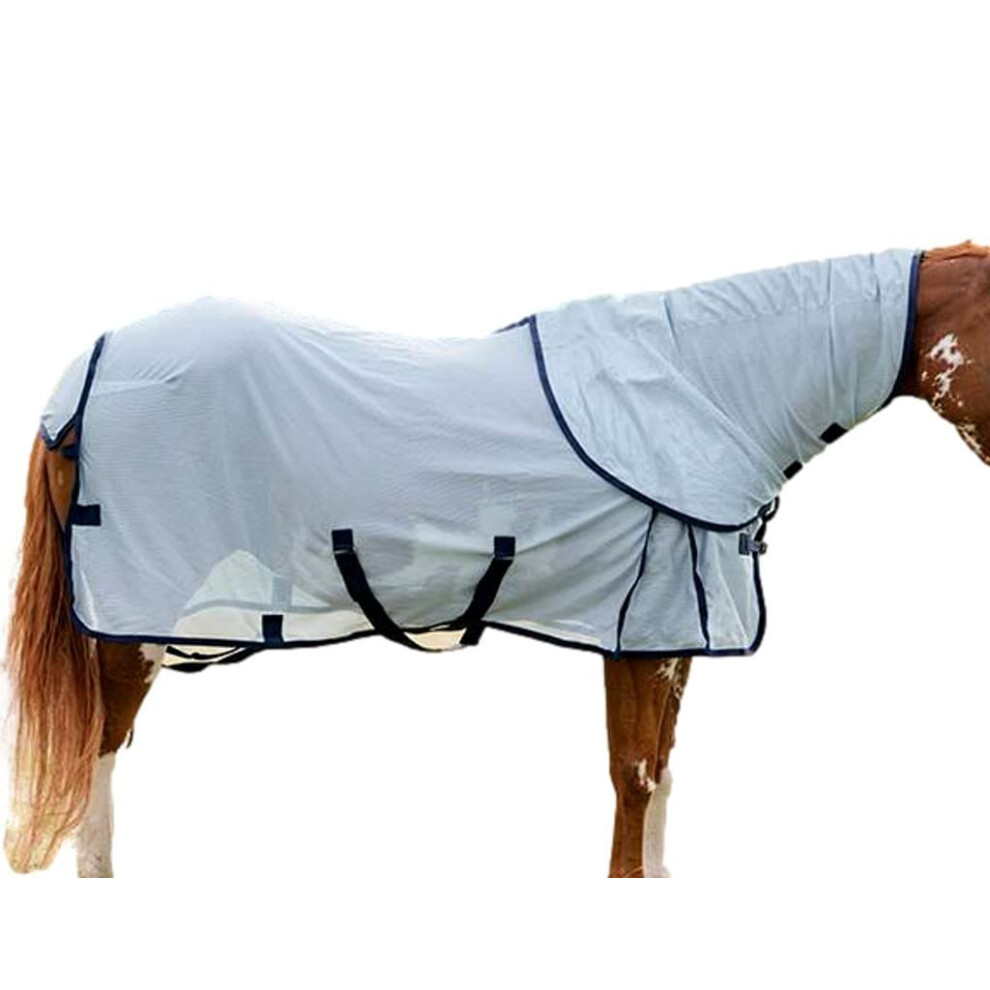 Profesjonalny Wybr Termicznych Arkuszy Muchowych Sky 72-image