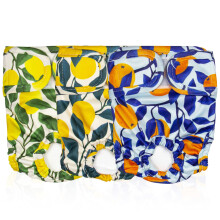 Pet Magasin Wiederverwendbare, waschbare Hundewindeln (3er-Pack), sehr saugf   hig mit starkem und flexiblem Verschluss (Botanical Fruit XS (10   12