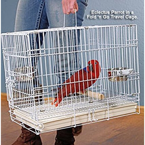 Photo inspiration: Large Easy Collapsible Travel Vet Bird Parrot Carrier Metal Cage Photo Inspiration