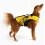EzyDog DFD 2