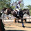 Botas Professional's Choice Pro Performance Elite XC | Par frontal | Branco | Mdio 4