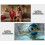 Nintendo Rewolucja bitewna Pokemon (odnowiona) 4