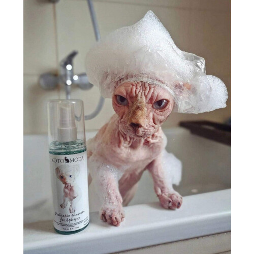 Kotomoda probiotisk shampoo til Sphynx-katte (8,45) 2