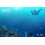 Nintendo Endless Ocean: Dive Discover Dream (odnowiony) 4