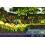 Nintendo Donkey Kong Country 3 (erneuert) 3