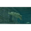 Nintendo Endless Ocean: Blue World     Nintendo Wii (erneuert) 2