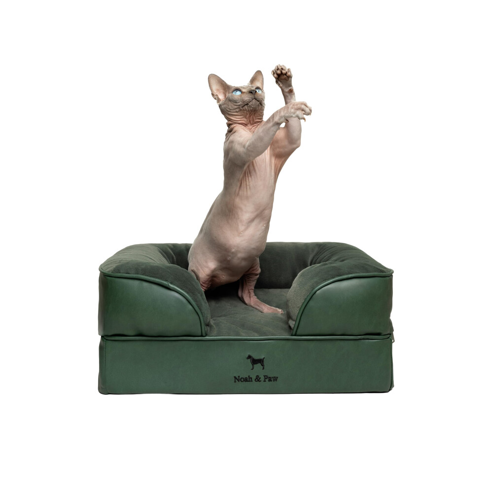 NOAH & PAW Small Dog Bed  20x15x8 Inch  Cat Bed for Indoor Cats  Orthopedic Eggshell Memory Foam Infused with Cooling Gel  Waterproof Inner Cover Mach-image-OPC-PHFP5QX-NEW