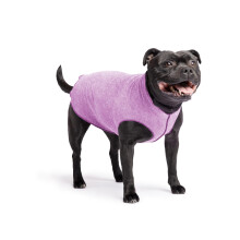 Gold Paw Sun Shield Hunde-T-Shirt  T-Shirt fr Hunde  UV-Schutz, Linderung von Angstzustnden bei Haustieren, Wundpflege  Schtzt vor Fuchssch