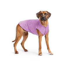 Gold Paw Sun Shield Hundetrje - T-shirt til hjrnetnder - UV-beskyttelse Kledyrs angstlindring Srpleje - Beskytter mod rvehaler Aids Alopeci