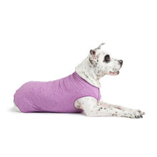 Gold Paw Sun Shield Hundetrje - T-shirt til hjrnetnder - UV-beskyttelse Kledyrs angstlindring Srpleje - Beskytter mod rvehaler Aids Alopeci