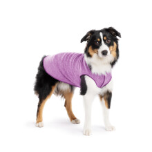 Gold Paw Sun Shield Hunde-T-Shirt  T-Shirt fr Hunde  UV-Schutz, Linderung von Angstzustnden bei Haustieren, Wundpflege  Schtzt vor Fuchssch