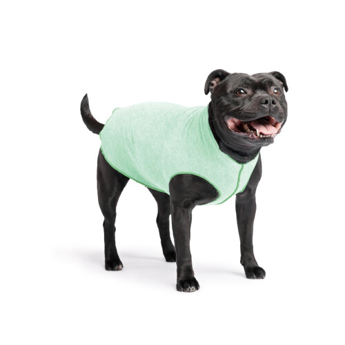 Zampa oro Sun Shield Dog T -cagnol