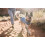 Zampa oro Sun Shield Dog T -cagnol 4