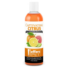 Jeffers Captivation Citrus Pet Shampoo 17 Oz - Grooming senza sapone per cani gatti e cuccioli - Orange & Lime Scent Aloe e Coconut Oil - Sicuro per