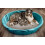 Pet Parents Pawtect Pads Πλενόμενα Μαξιλάρια Ούρησης για Σκύλους (2pack) 4