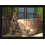 Sony Dark Cloud 2 - PlayStation 2 (Renewed) 4