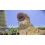 Nintendo Pikmin 3 (odnowiony) 3