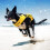 EzyDog DFD 3