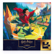 New York Puzzle Company - Harry Potter Quidditch Mini - 100 dílná skládačka