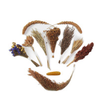 JFWOD Naturlig Hamster Sengetj - Blomster Urter Sprays Behandl Korn til Bur Habitat Indhegning Indretning - Hamster Chews til dvrg syriske Gerb