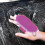 Tail Tamer Jelly Scrubber Petite - Assorted Colors 4