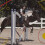 Kavallerie bottes de tendon classique 3