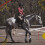 Kavallerie bottes de tendon classique 2