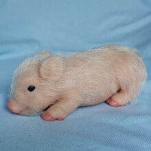 Eummy Mini Realistische Silikon Schwein Spielzeug für Kinder 5 Zoll, Weiche/Übergewichtige Babypuppen