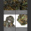 3D Φύλλο Ενηλίκων Κοστούμι Camo/Camouflage Κυνήγι Ελαφιών Stalking σε 6