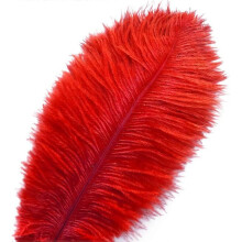 20 pcs Natural Red Ostrich Feathers Plumes 8-10 inch(20-25 cm) Bulk for Wedding Party, Easter, Gatsby Decorations