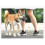 Dog Muzzle Breathable Basket MuzzleXXL 4