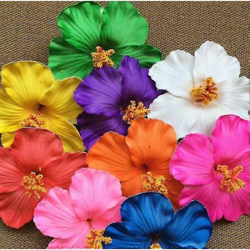 Encanto Isabella Flower Hair Accessory Beachorange 2