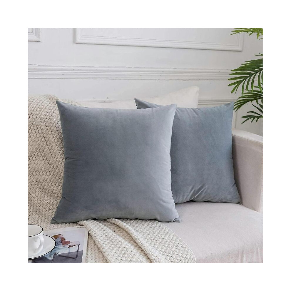 Coussins en velours décoratifs pour canapé, lit et sofa, lot de 2 housses de coussin de luxe, 20x20 pouces, gris argenté