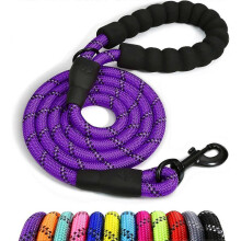 Dog Rope, Nylon Dog Leash with Soft Padded Handle and Reflective Threads, 150cm x 1.2cm, Purple