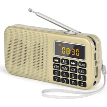 Portable Radio, FM Radio with Large Capacity Rechargeable Battery (3000mAh), Support MP3 / SD / USB / AUX,Gold