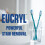 Eucryl Original Flavour Toothpowder - Stain Remover, 50g 3