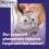 Feliway FELIWAY Optimum Cat Calming Refill, 30 Day, 48ml 2