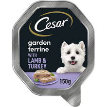 Cesar Premium Dog Wet Food Garden Terrine in Loaf with Juicy Lamb, Turkey and Green Beans 14x 150 g