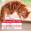 Beaphar Beaphar WORMclear Spot-On Cats, Tapeworm Treatment, 2 Pipettes 4