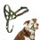 HALTI Headcollar - Stop Pulling - Medium Dogs - Size 2 - Forest Green 1